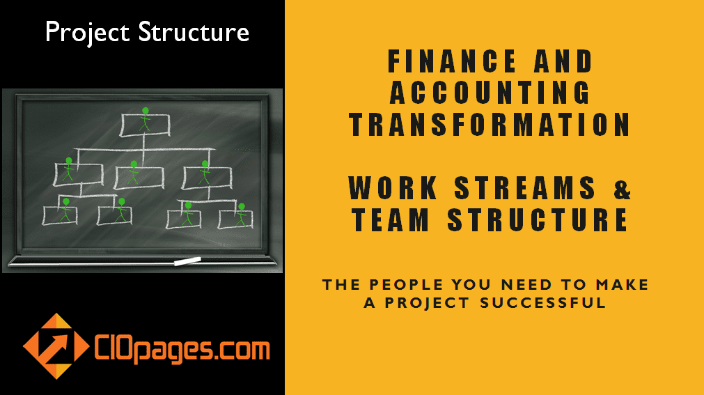 Finance Transformation Project Workstreams and Roles