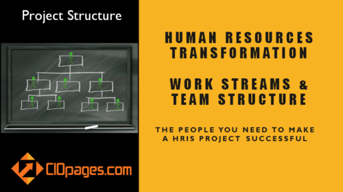 Human Resources Transformation Project Workstreams and Roles