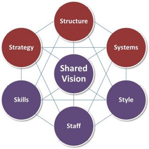 Change Management Models - McKinsey 7S