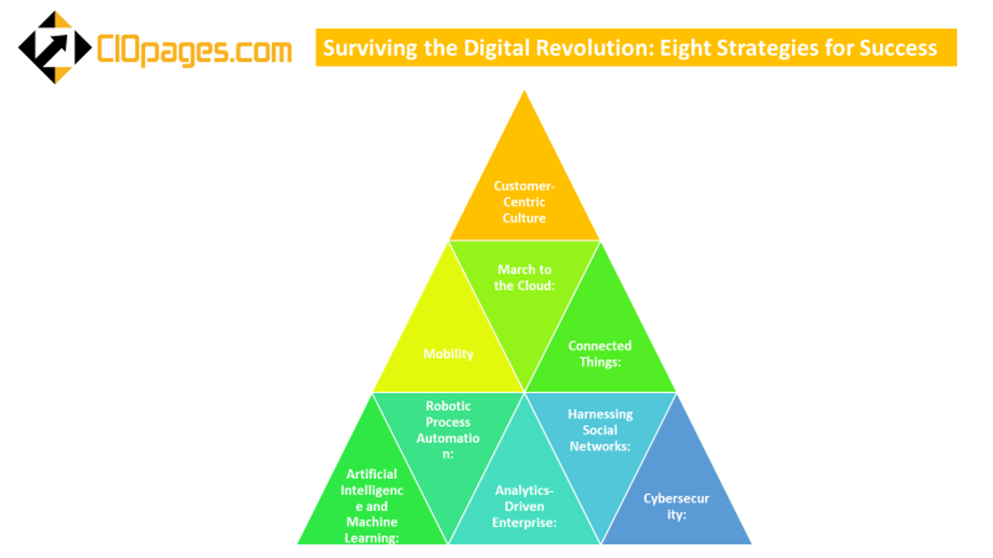 Surviving the digital revolution - Strategies for Success