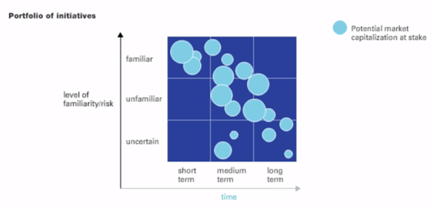 IT Strategy - McKinsey Portfolio of Initiatives