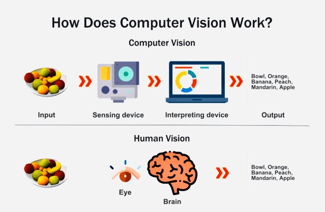 What Is Computer Vision? (Definition, Examples, Uses)