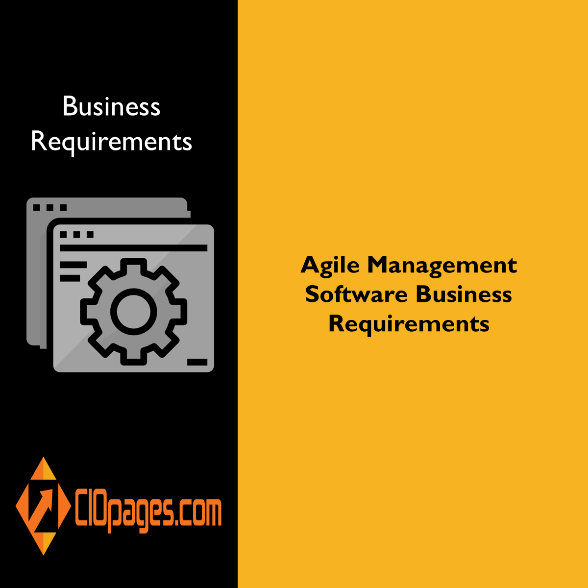 Agile Management Software Business Requirements