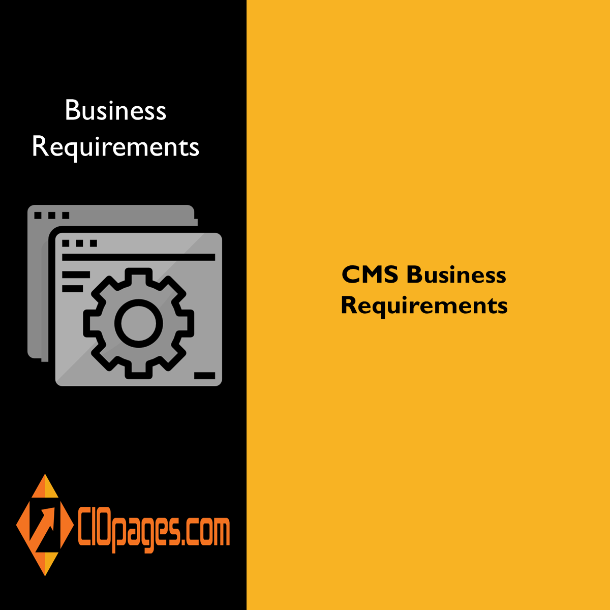 CMS Software Business Requirements