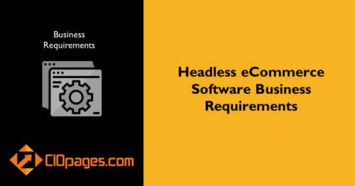 Headless eCommerce Software Business Requirements