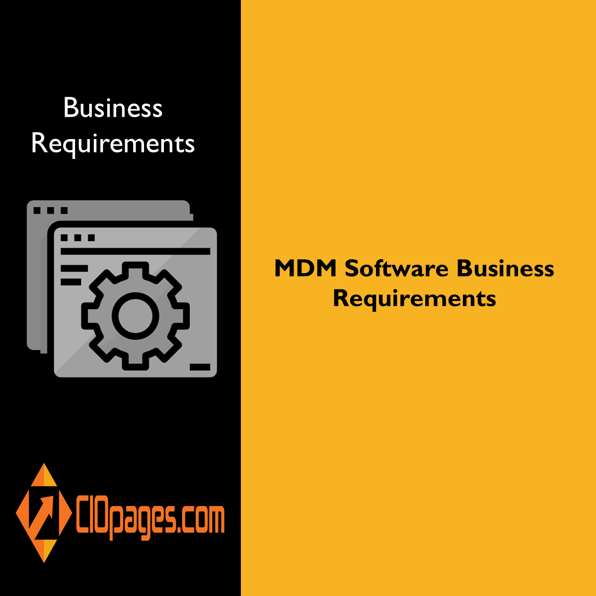 MDM Software Business Requirements