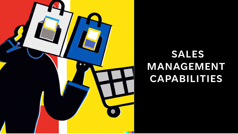 Sales Management Capability Model