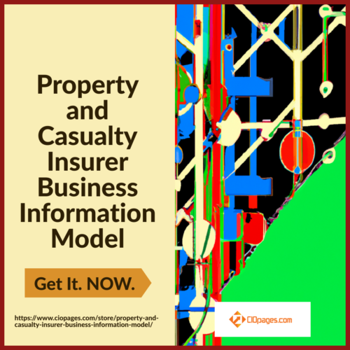 Property and Casualty Insurer Business Information Model